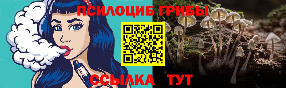 МЕТАДОН Александров