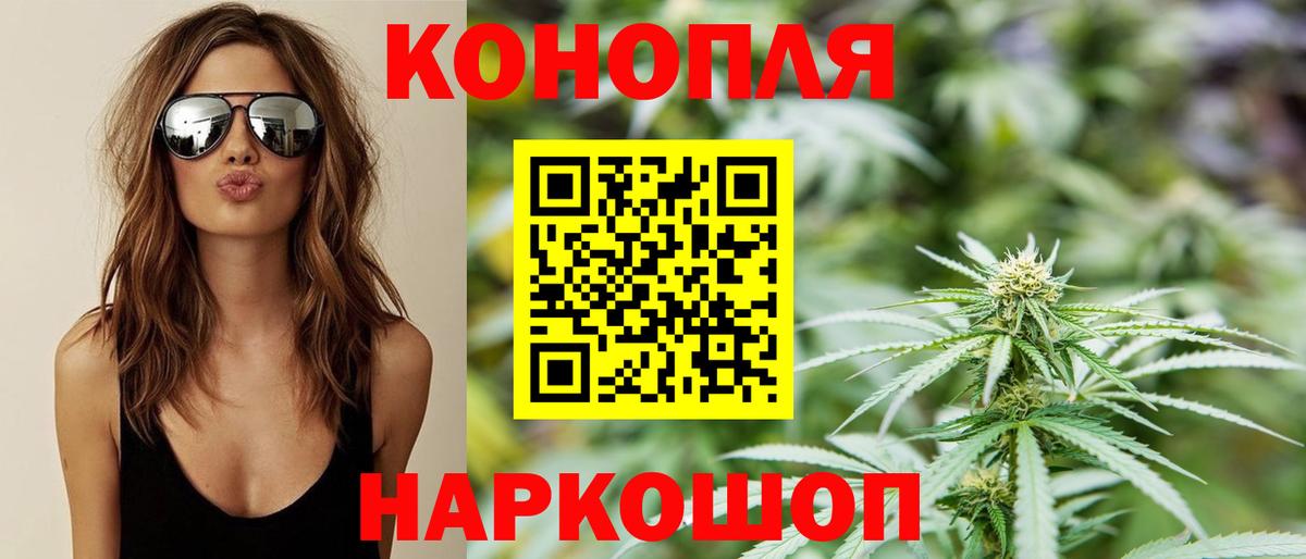 Бошки Шишки семена Александров
